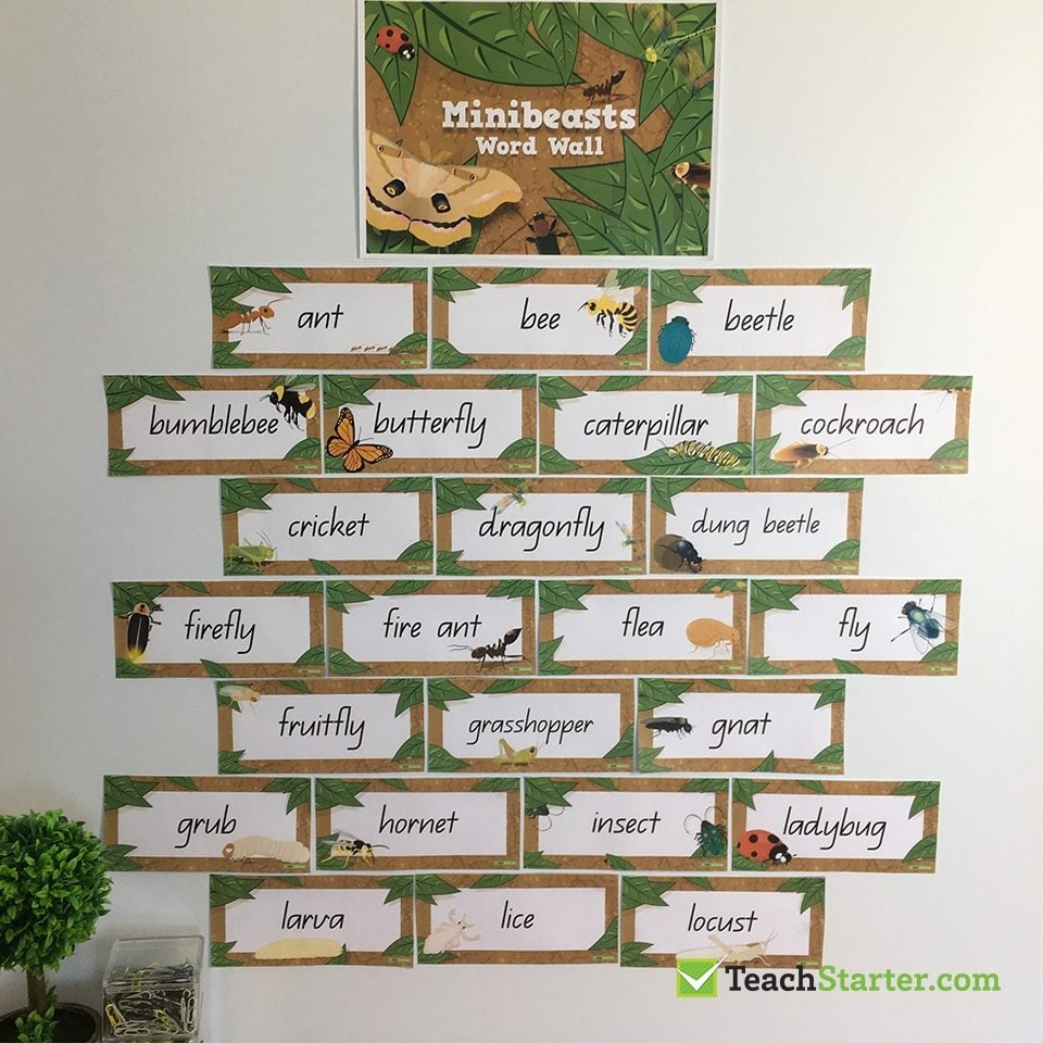 Word Wall Worksheets Kindergarten Word Wall Worksheets Kindergarten