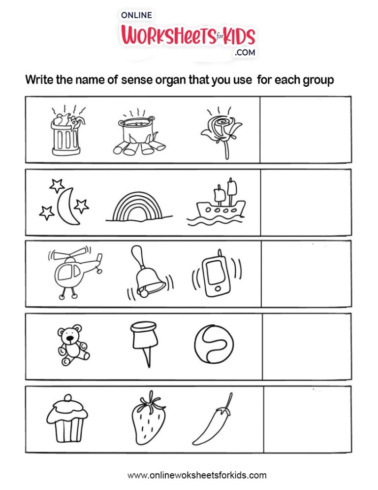 5 Senses e Worksheets Library