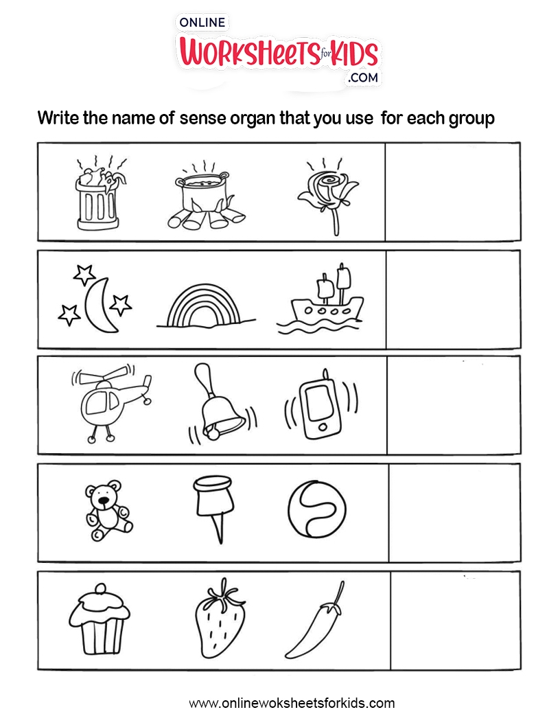 5 Senses e Worksheets Library