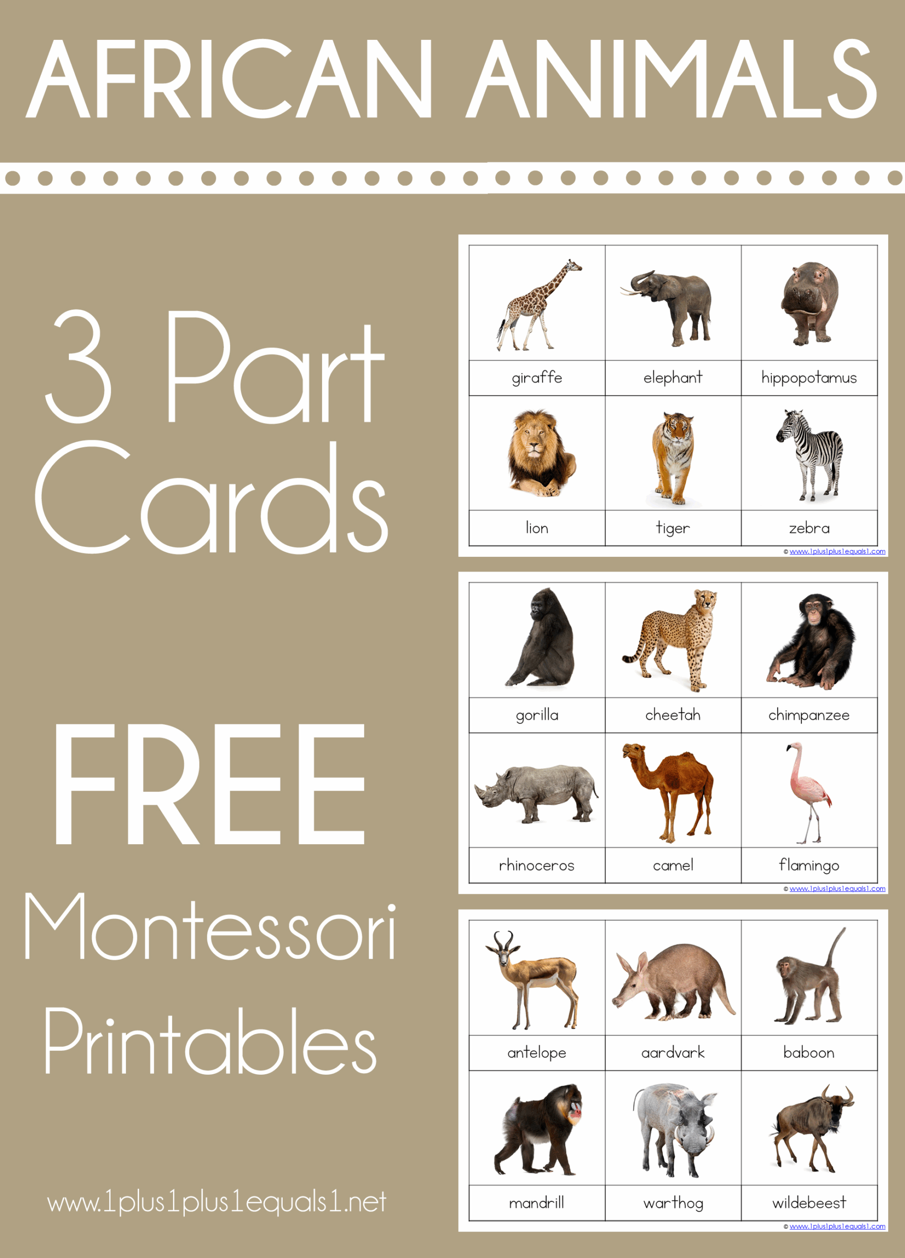 African Animals Montessori Printables FREE 3 Part Cards 1 1 1u003d1 African Animals Montessori Printables FREE 3 Part Cards 1 1 1u003d1