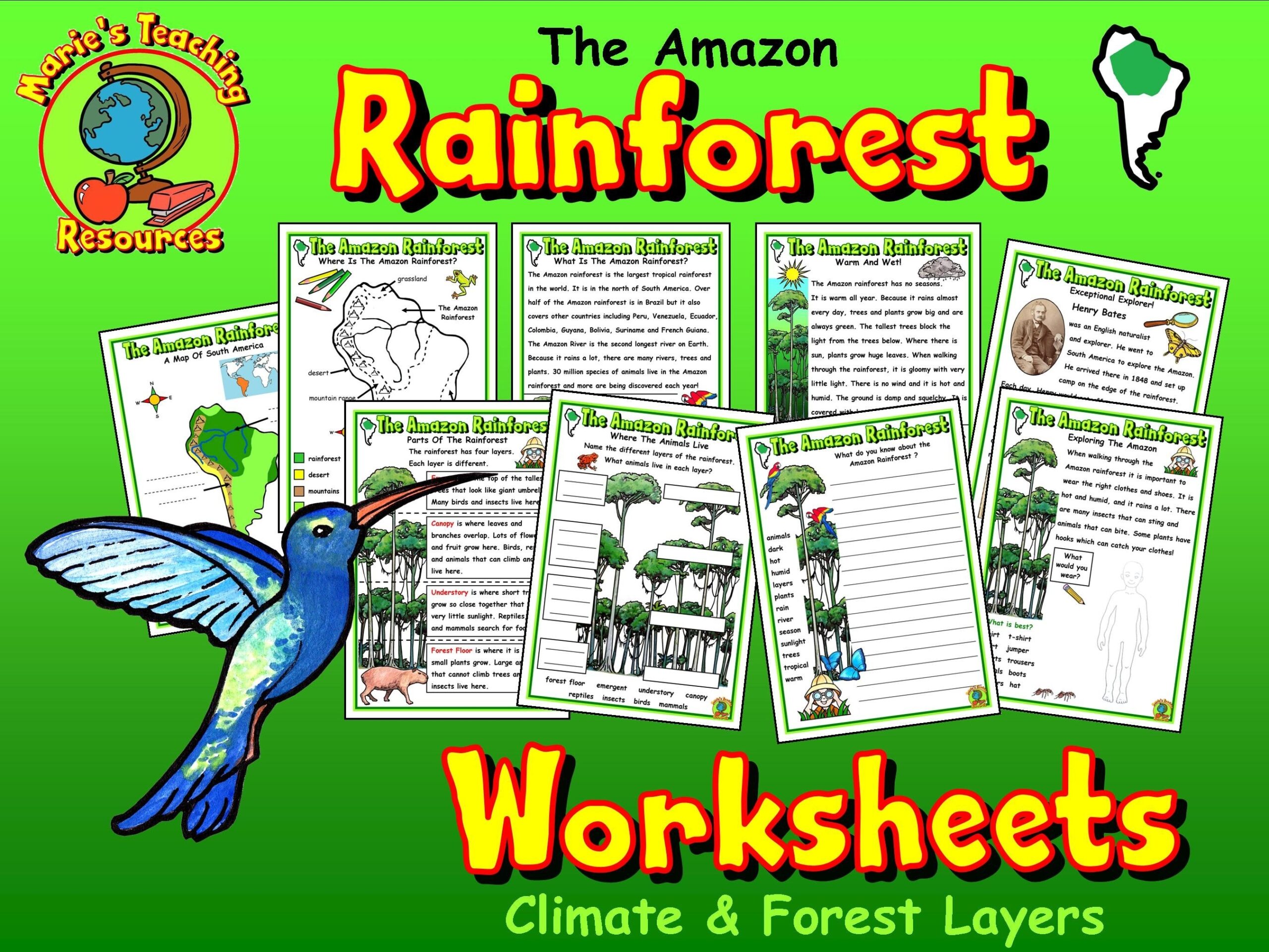 Amazon Rainforest Worksheets Geography Climate And Environment Teaching Resources Animal Habitats Printable Instant Download Etsy