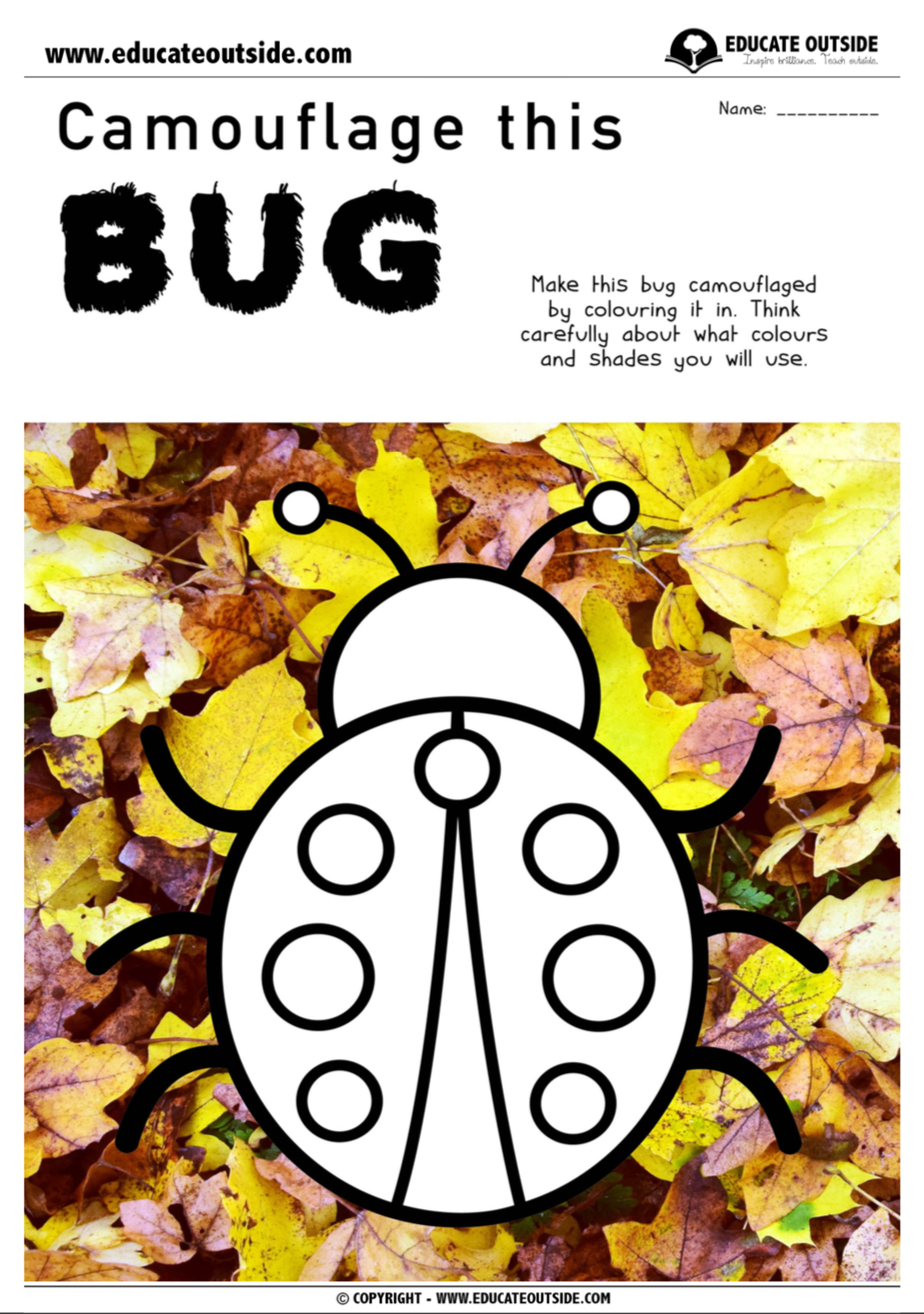 Animal Adaptations Lesson Camouflage Worksheet Find My Bug 