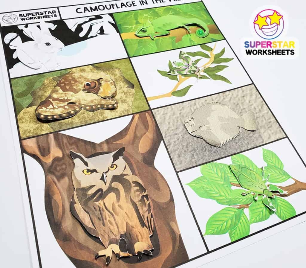 Animal Camouflage Worksheets Superstar Worksheets