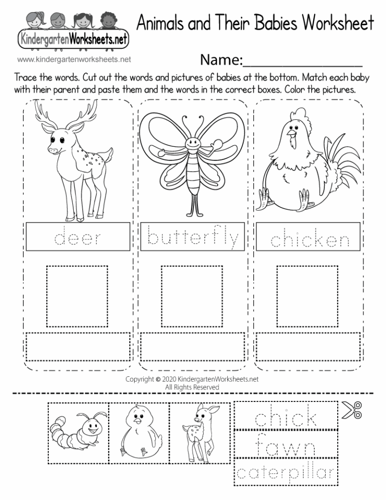 Animals And Their Babies Worksheet Free Printable Digital U0026 PDF
