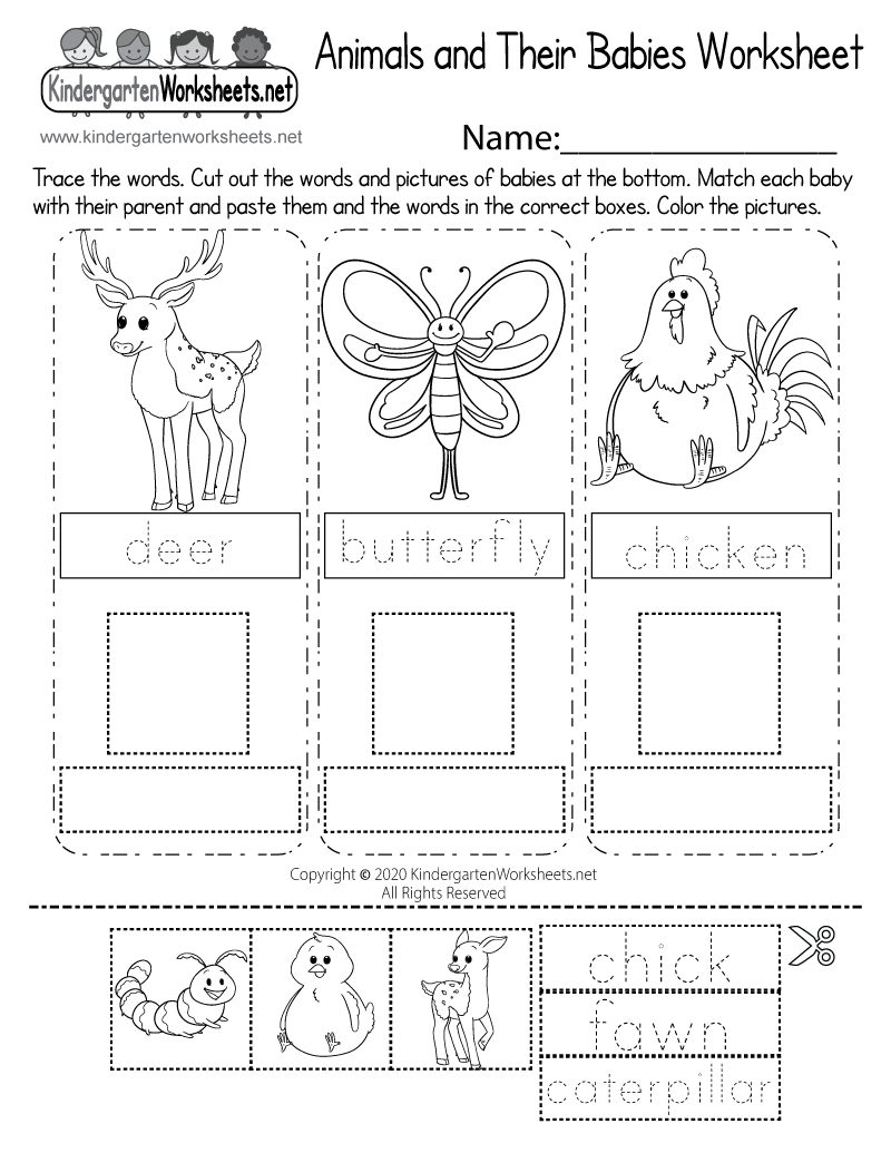 Science Worksheets Kindergarten Free Science Worksheets Kindergarten Free