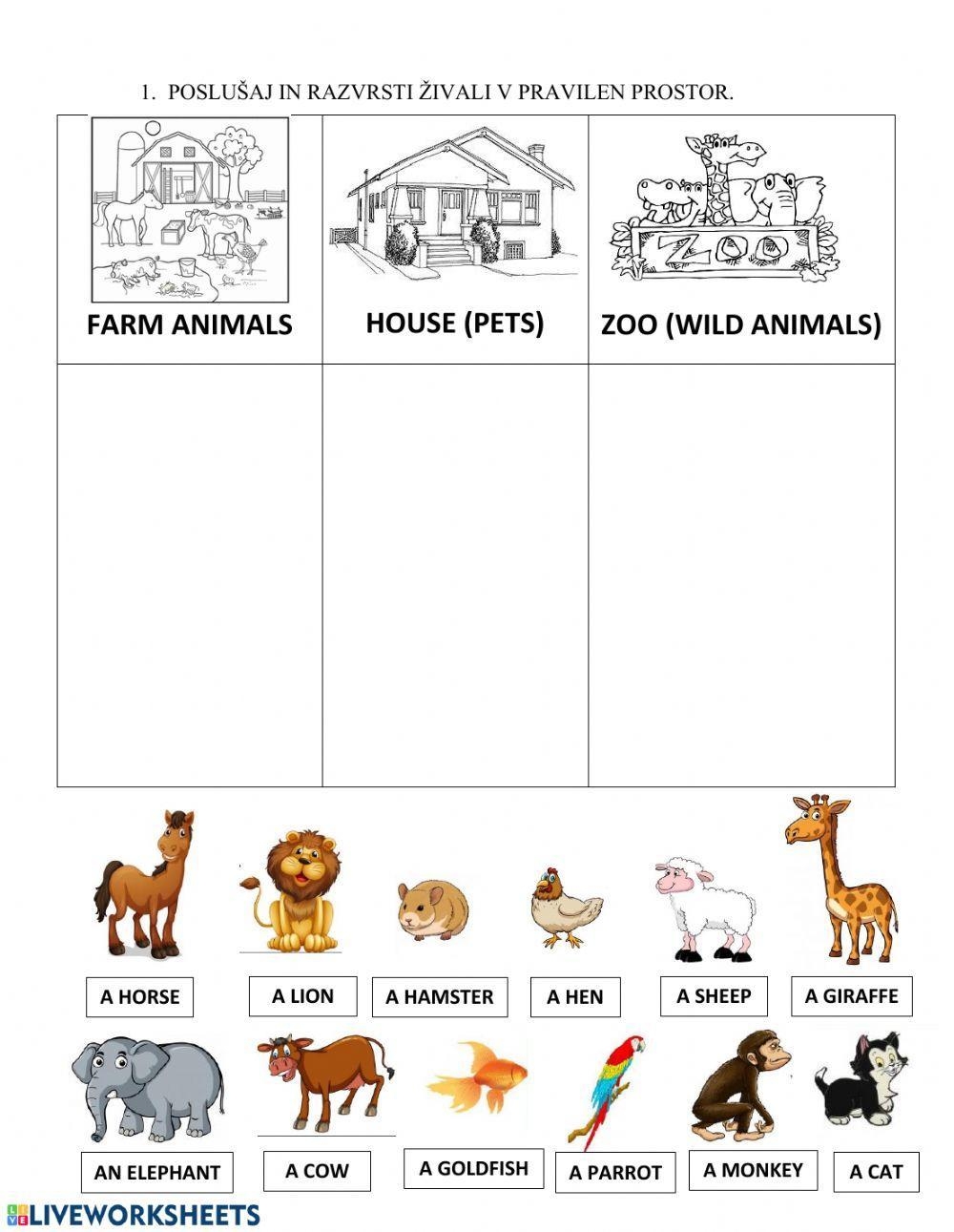 Animals Pet Farm ZOO Worksheet Live Worksheets Worksheets Library