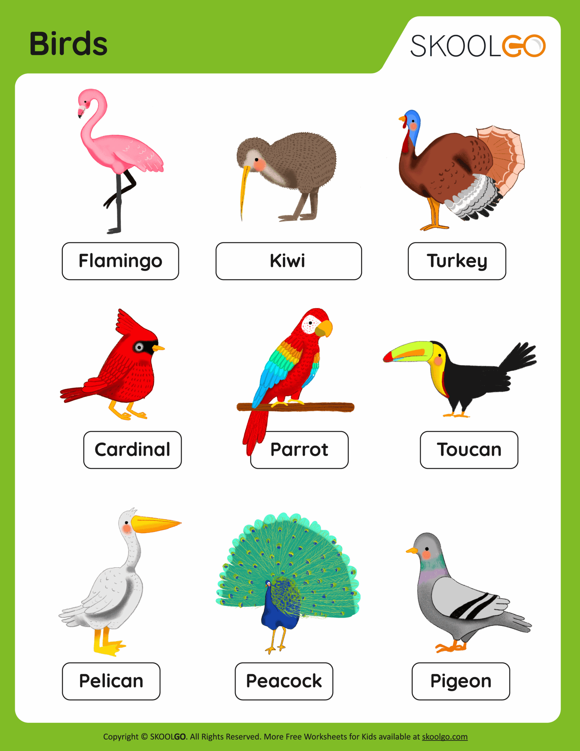 Birds Free Worksheet SKOOLGO