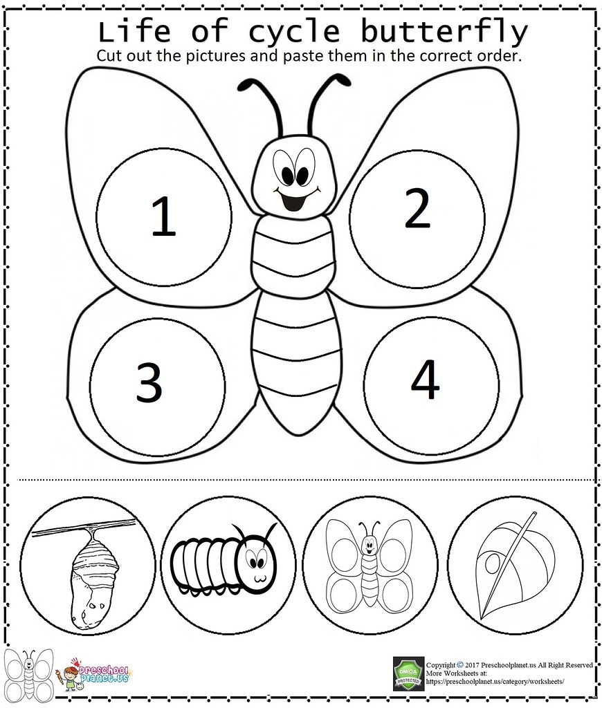 Butterfly Life Cycle Worksheet Download Free Printables For Kids Butterfly Life Cycle Worksheet Download Free Printables For Kids