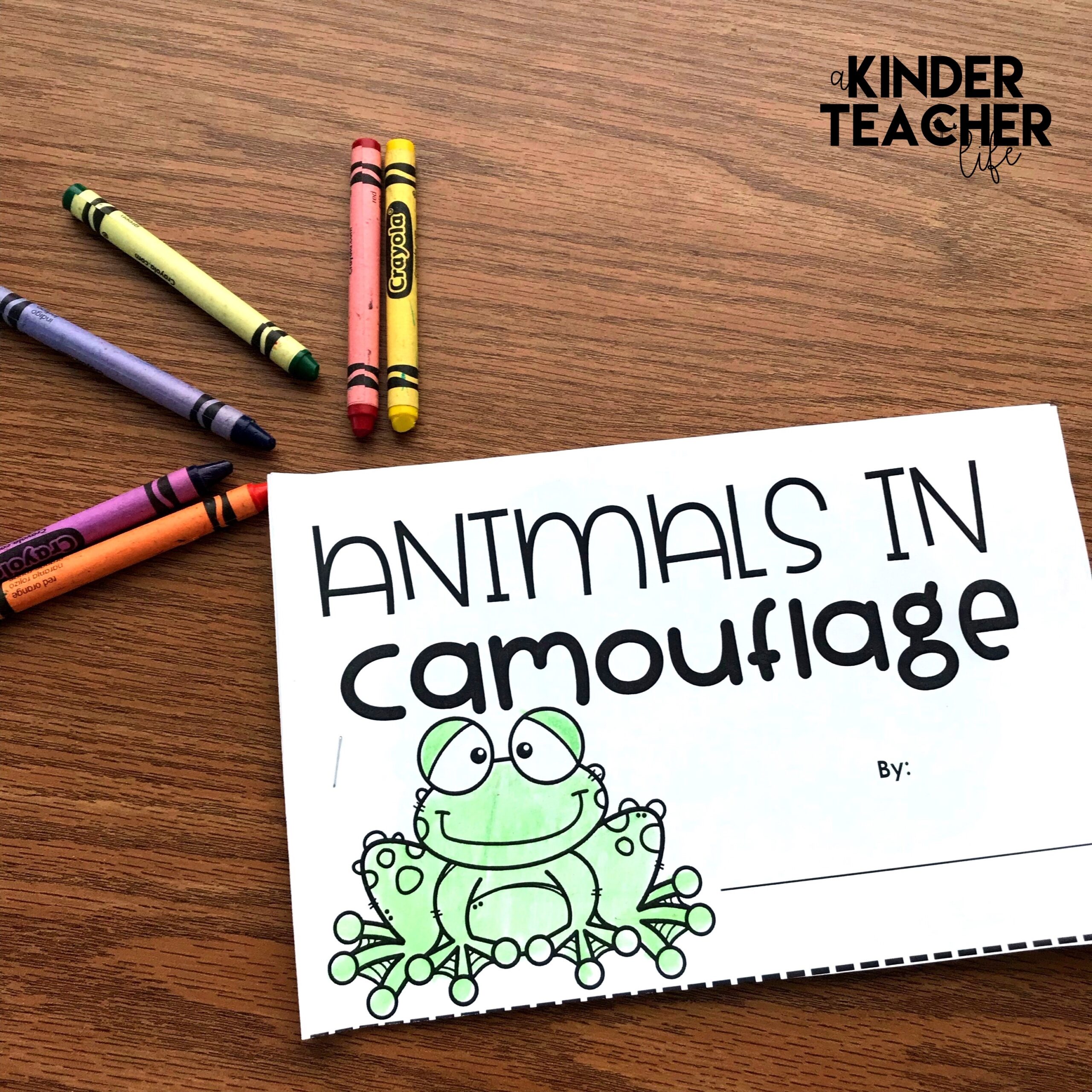 Free Animal Camouflage Worksheets For Kindergarten