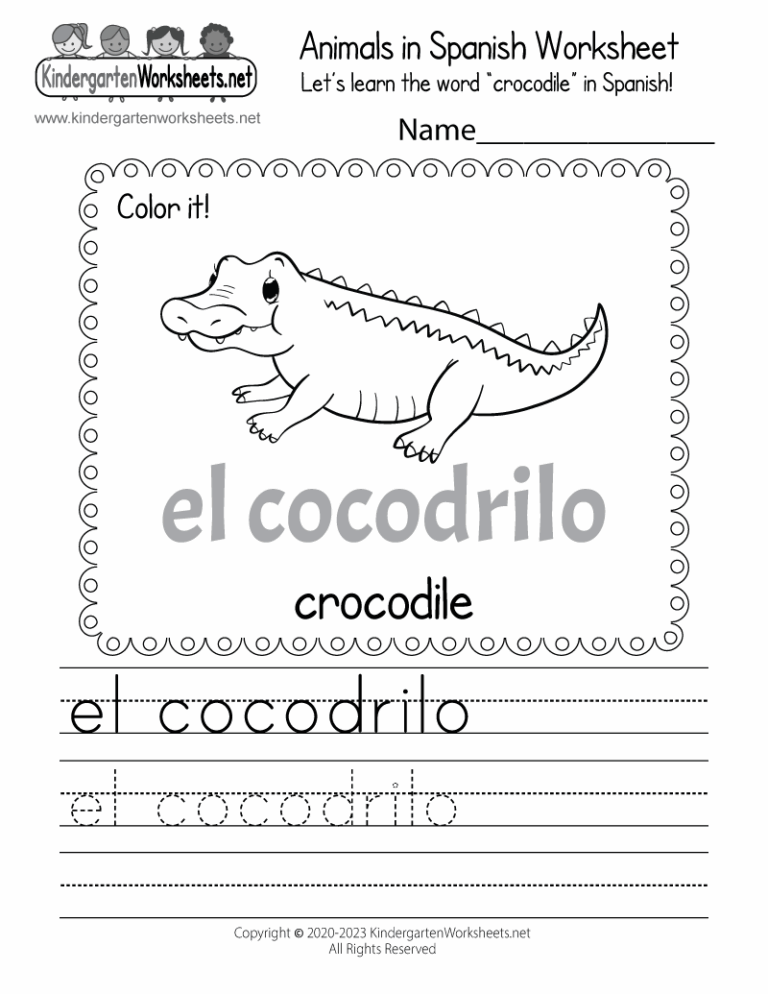 Crocodile In Spanish Worksheet Free Printable Digital U0026 PDF