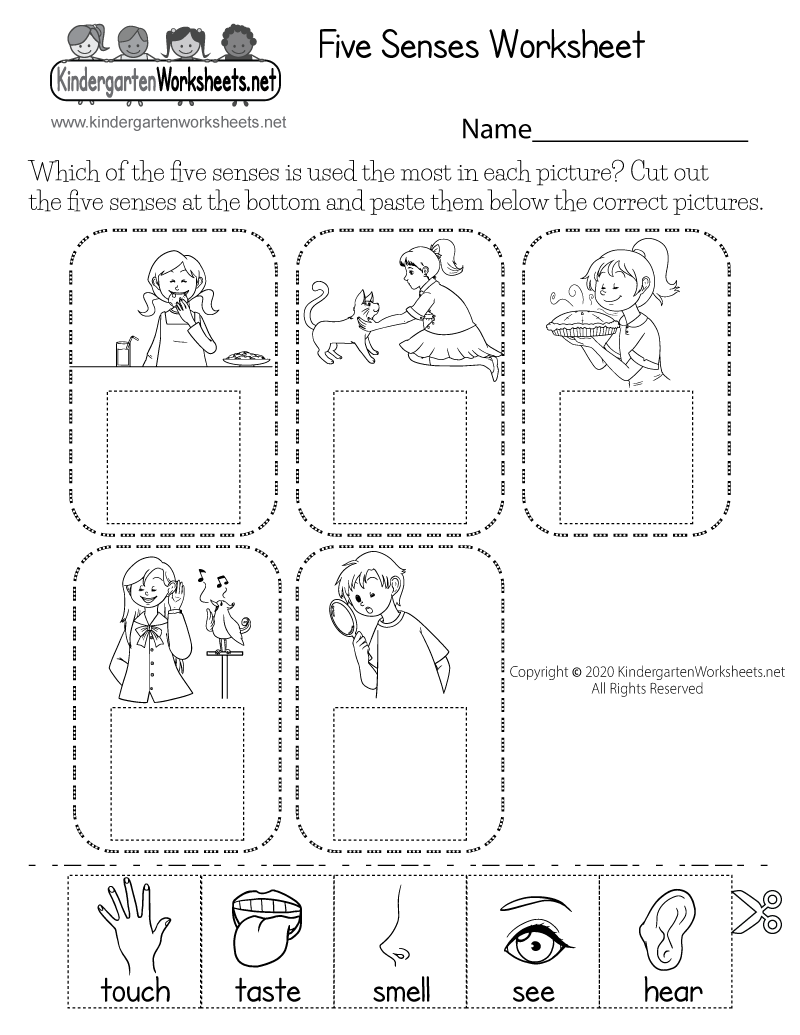 Cut and Paste Five Senses Worksheet Free Printable Digital U0026 PDF