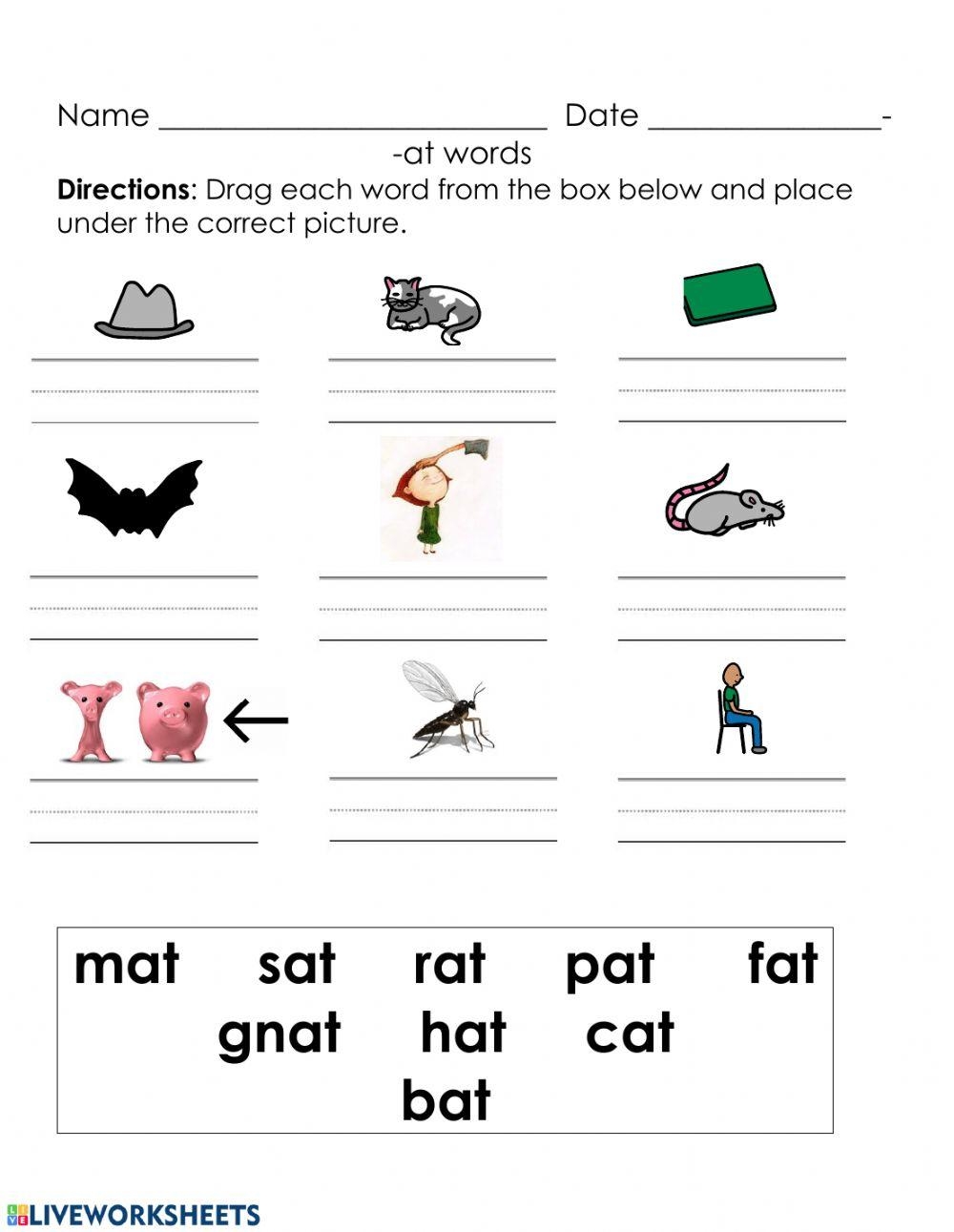 CVC Word Endings Worksheet Phonics Cvc Words Cvc Words Worksheets Library