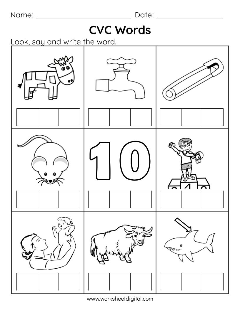 Cvc Words Worksheet For Kindergarten