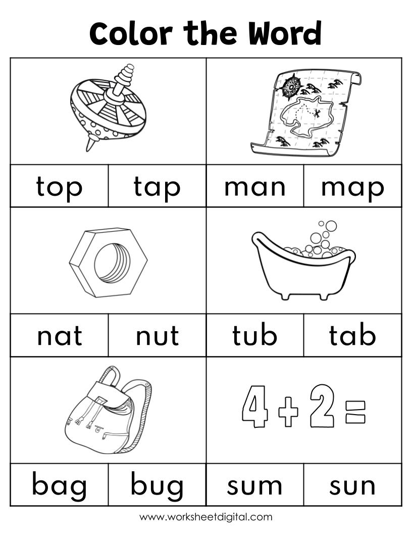 CVC Words Say And Write The CVC Words Phonics Worksheets