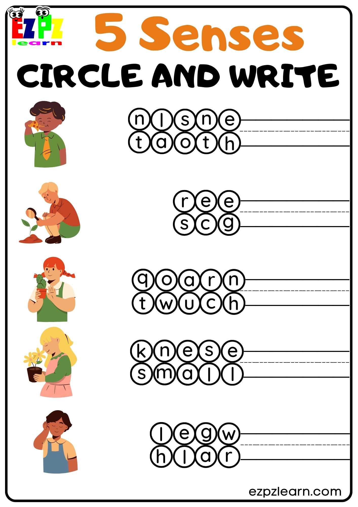 Five Senses Circle And Write Worksheet For Kindergarten And ESL Students Free Download Ezpzlearn Five Senses Circle And Write Worksheet For Kindergarten And ESL Students Free Download Ezpzlearn