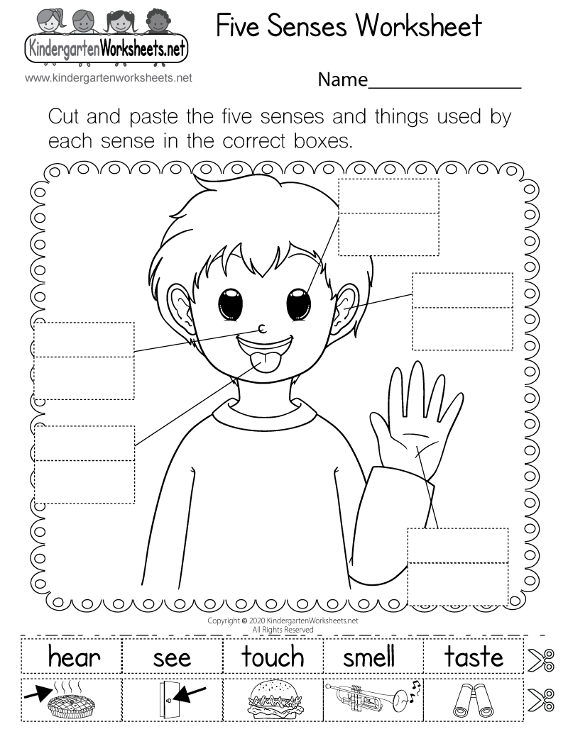 Five Senses Worksheet Free Printable Digital U0026 PDF