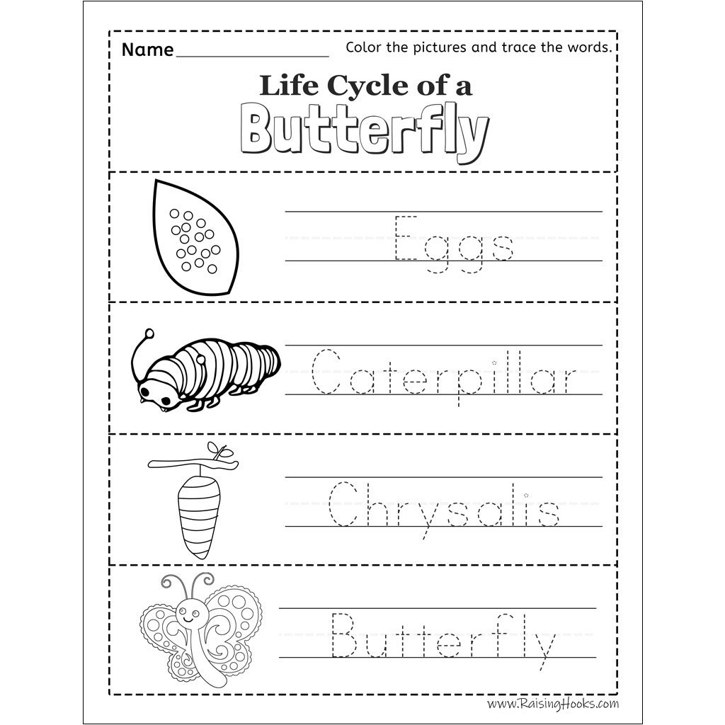 Free Butterfly Math Worksheet For Kindergarten Lets Make 10 Worksheets Library