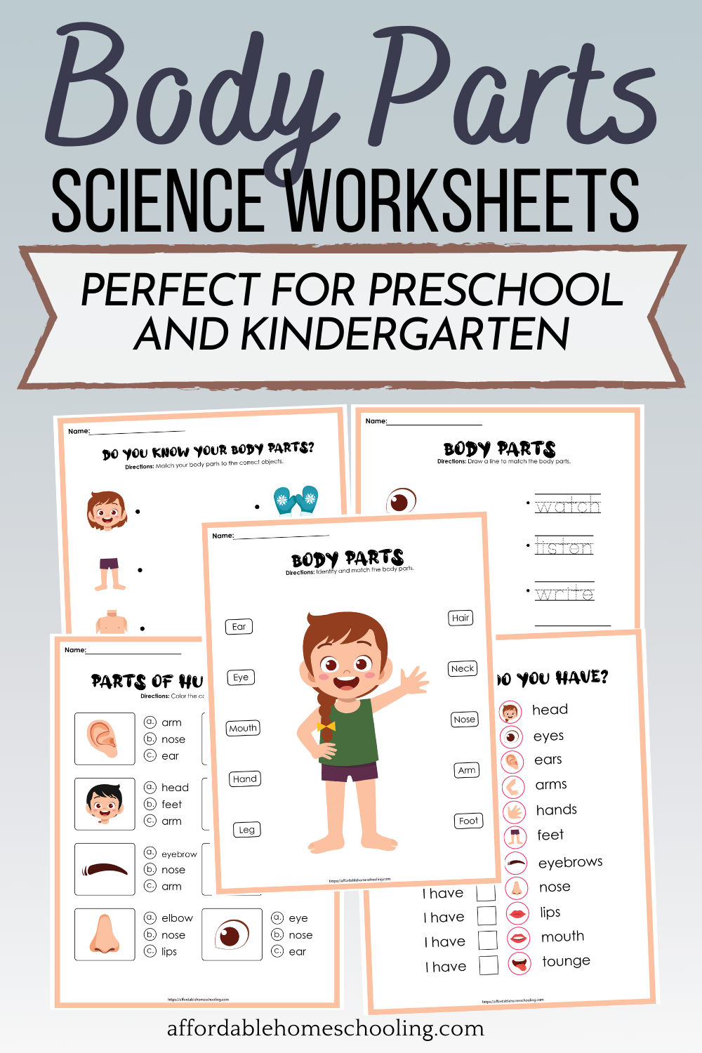 Free Parts Of The Body Worksheets For Preschoolers