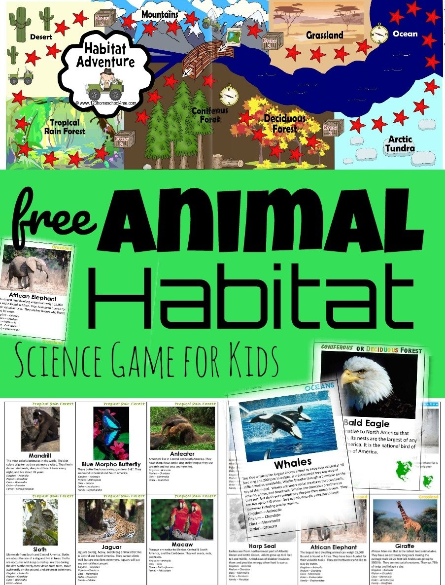 Free Habitat Worksheets For Kindergarten