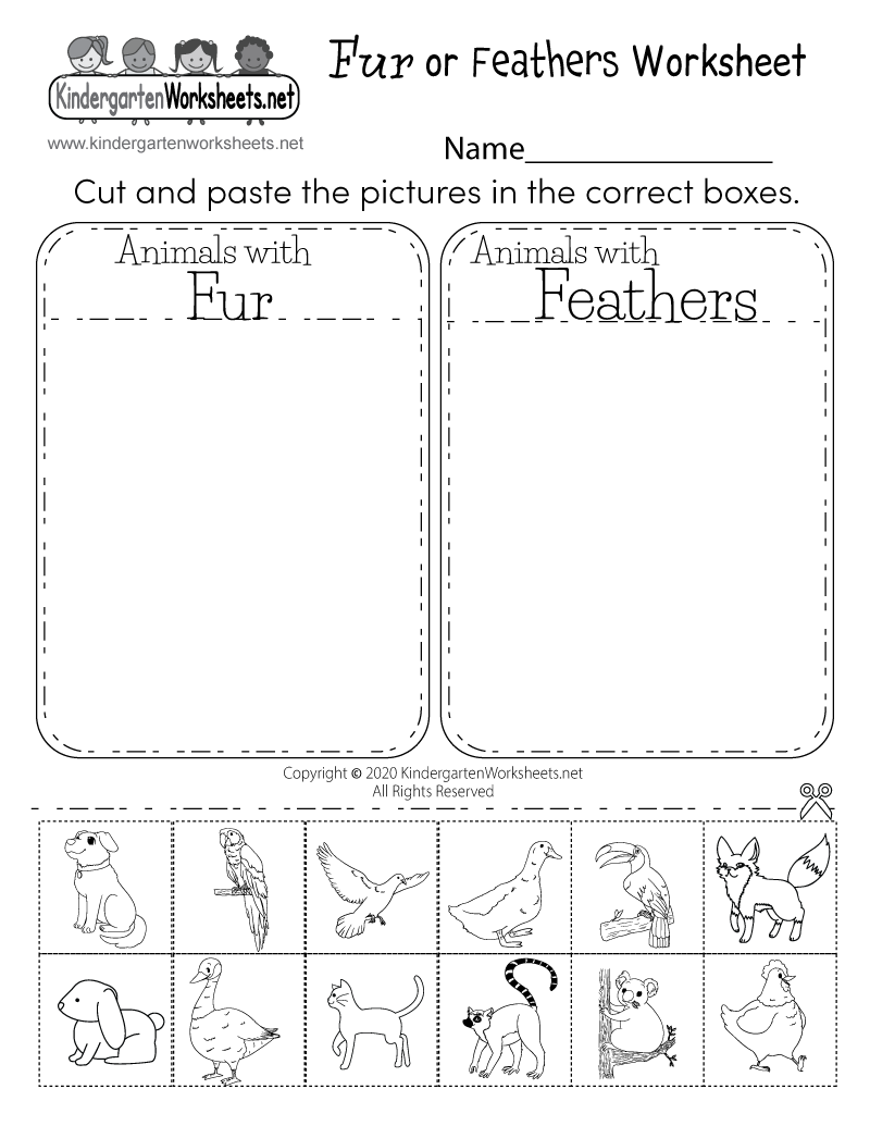 Free Printable Fur Or Feathers Worksheet