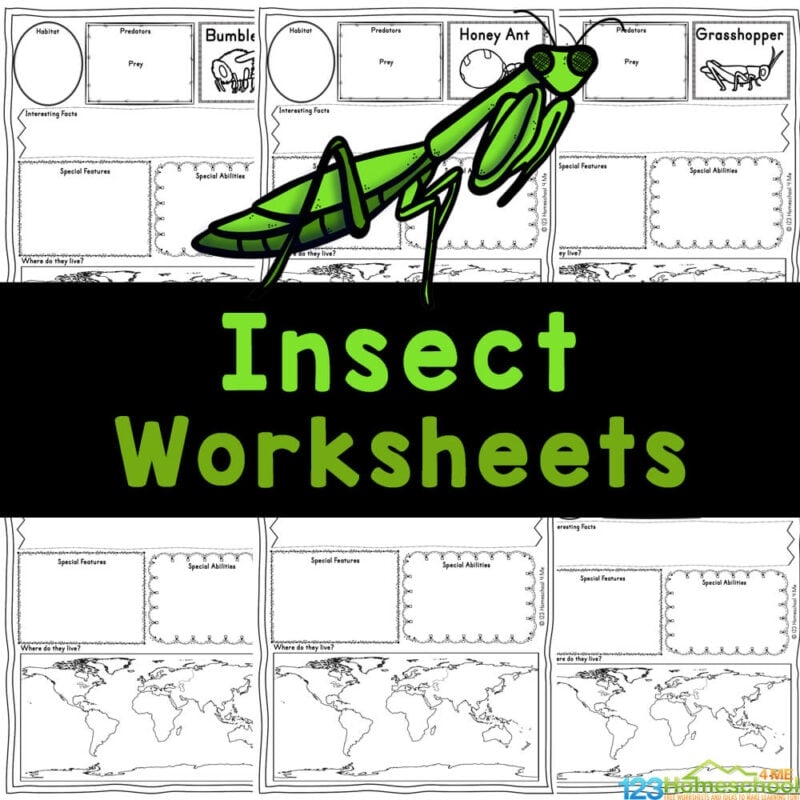 FREE Printable Insect Worksheets For Kids FREE Printable Insect Worksheets For Kids
