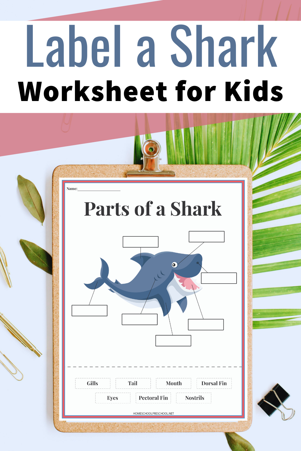 Free Printable Labeling Worksheets For Kindergarten Free Printable Labeling Worksheets For Kindergarten