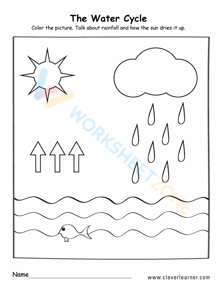 Free Printable Water Cycle Worksheets For All Grades Worksheets Library