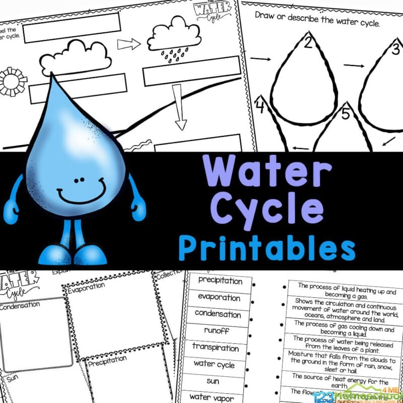 Kindergarten Science Worksheets Pdf Free Download