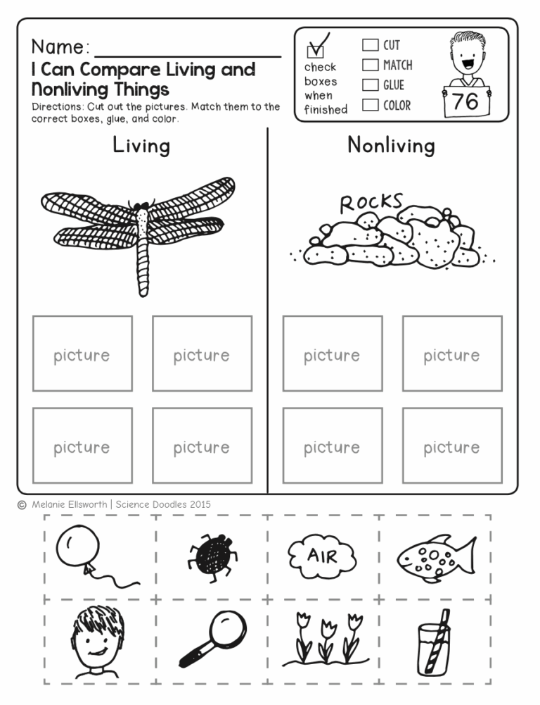 FREEBIE NO PREP Kindergarten Science Doodle Printables Free Worksheets Library