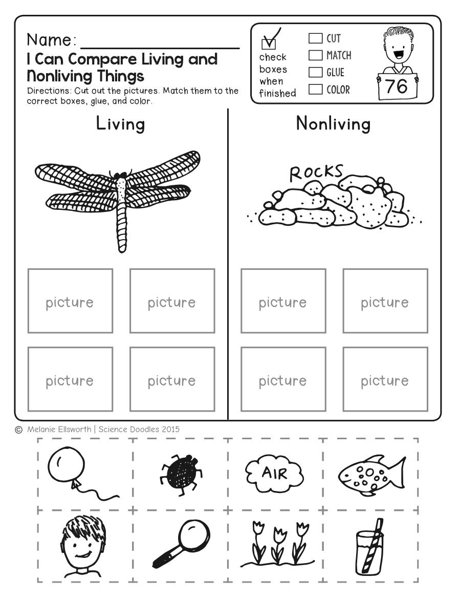 FREEBIE NO PREP Kindergarten Science Doodle Printables Free Worksheets Library