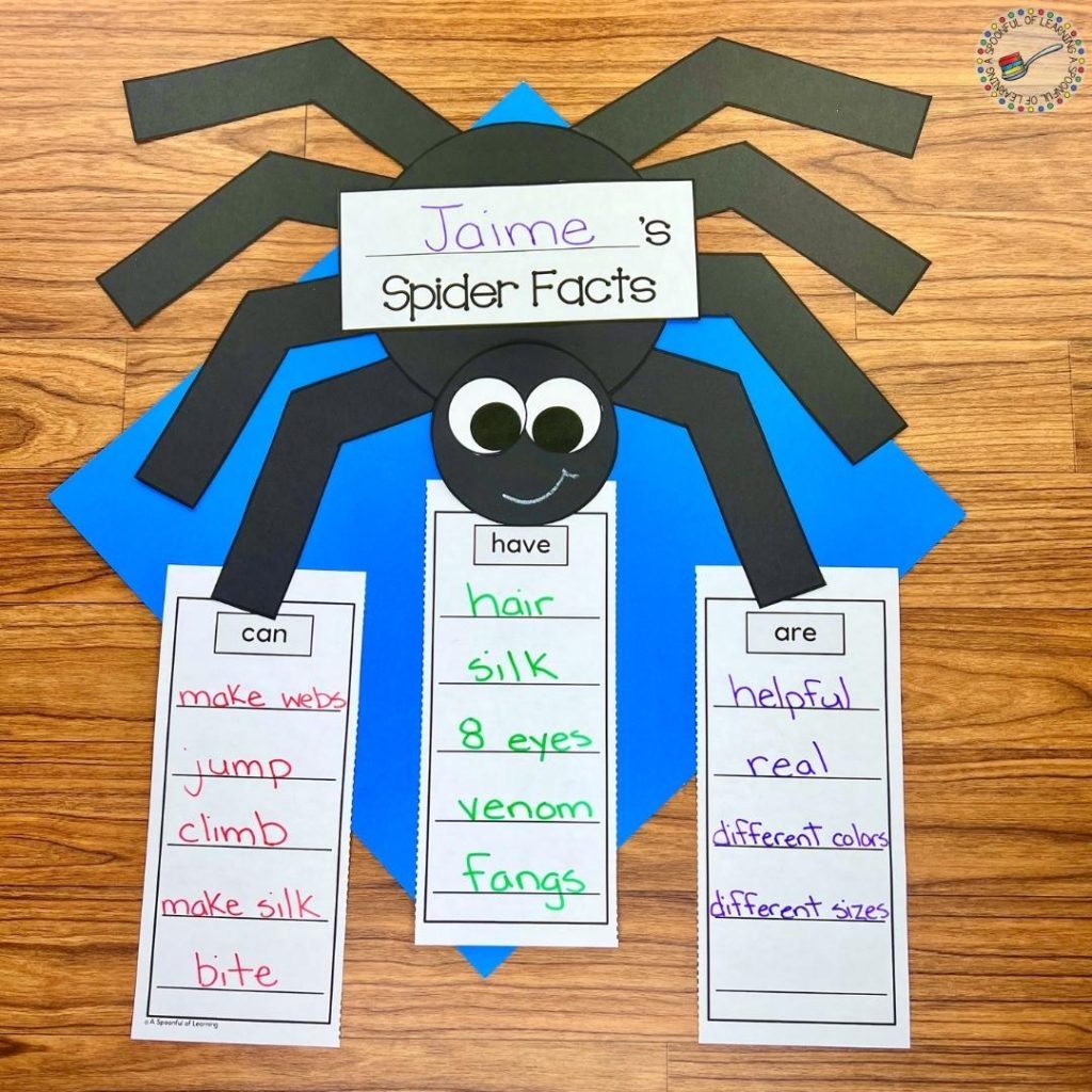 Free Printable Spider Worksheets For Kindergarten