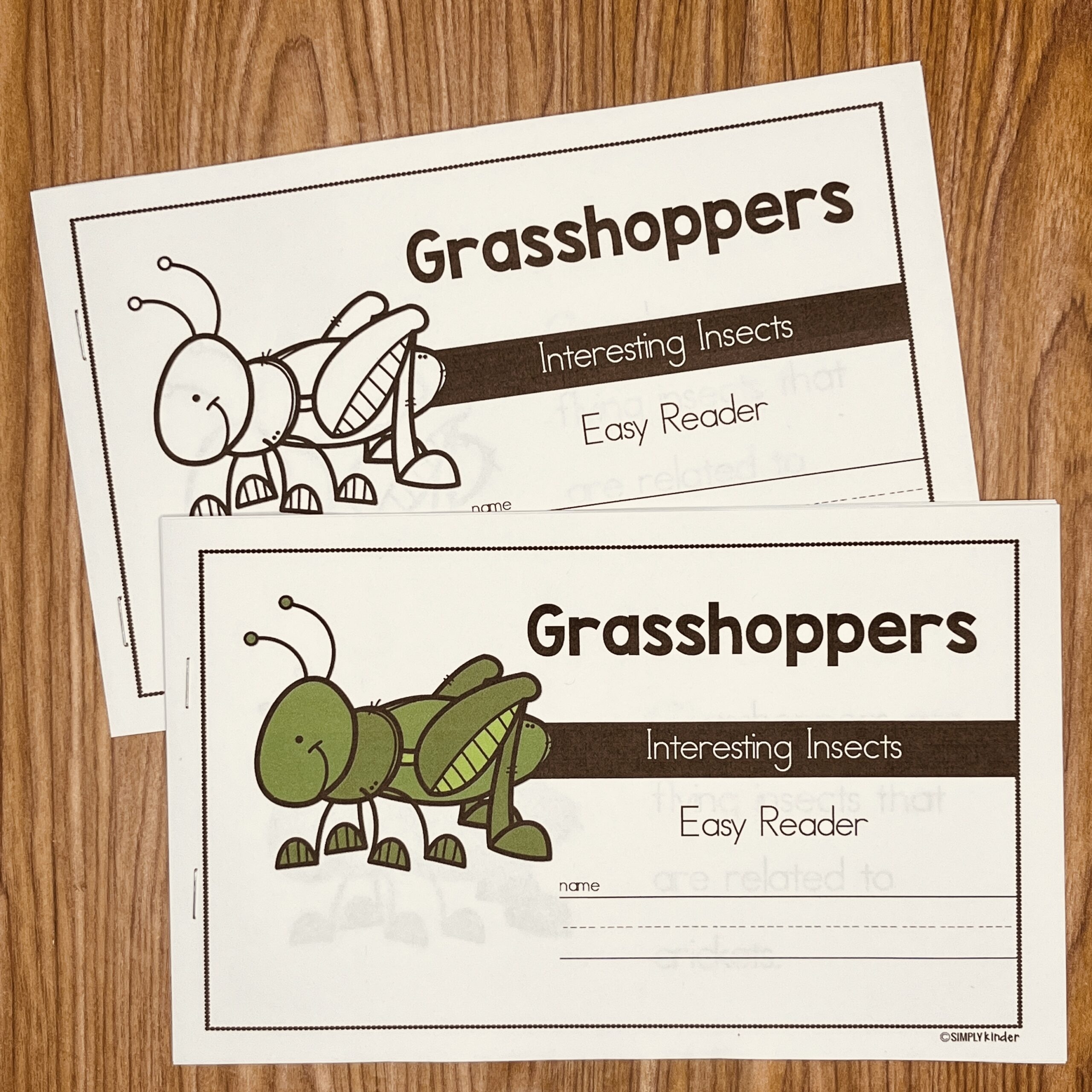 Grasshopper Math Worksheets For Kindergarten