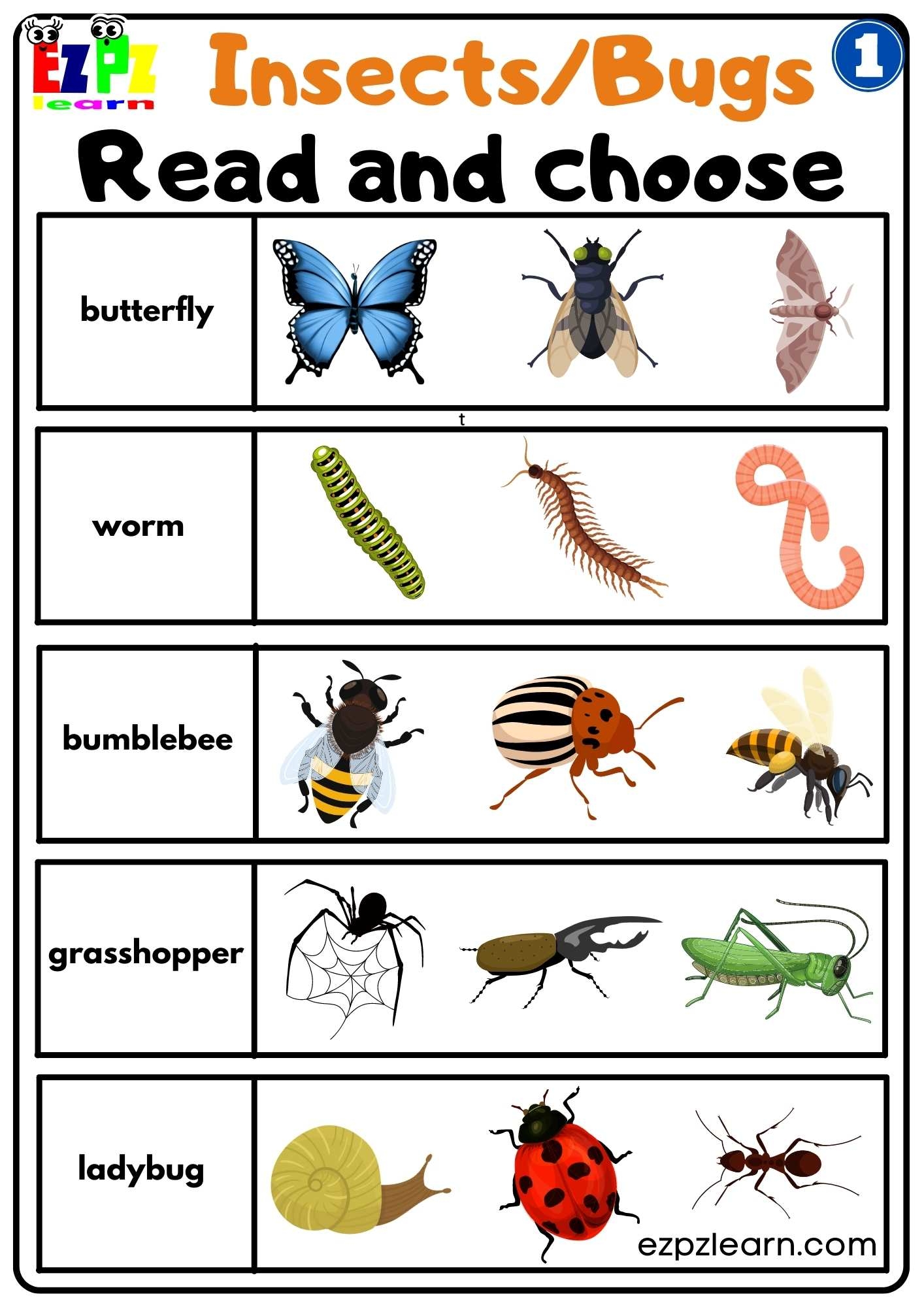 Group 1 Insects And Bugs Read And Choose Worksheet Free PDF Download For Teachers And Parents Ezpzlearn Group 1 Insects And Bugs Read And Choose Worksheet Free PDF Download For Teachers And Parents Ezpzlearn