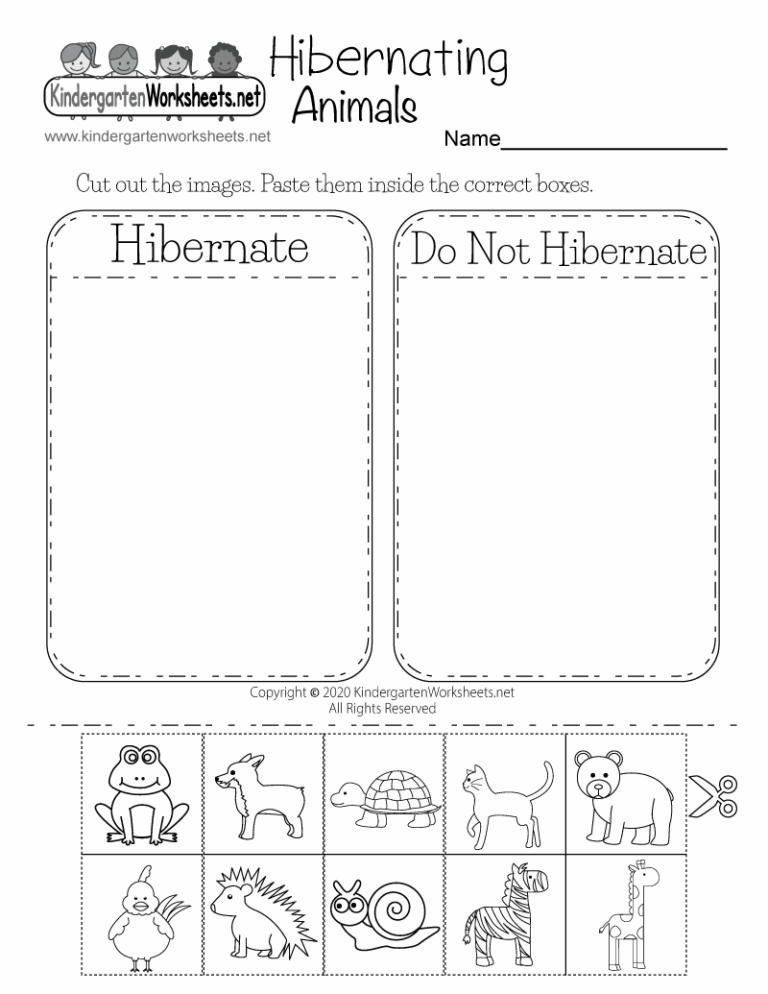Hibernating Animals Worksheet Free Printable Digital U0026 PDF