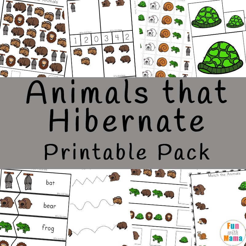 Free Printable Hibernation Worksheets For Kindergarten