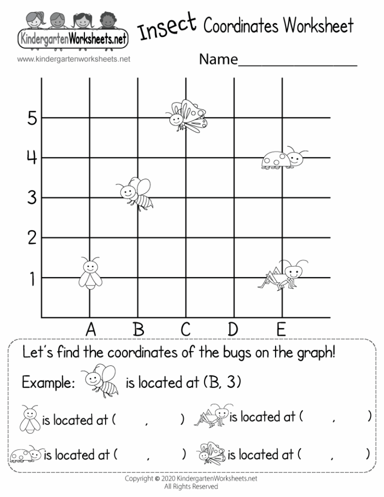 Insect Coordinates Worksheet Free Printable Digital U0026 PDF