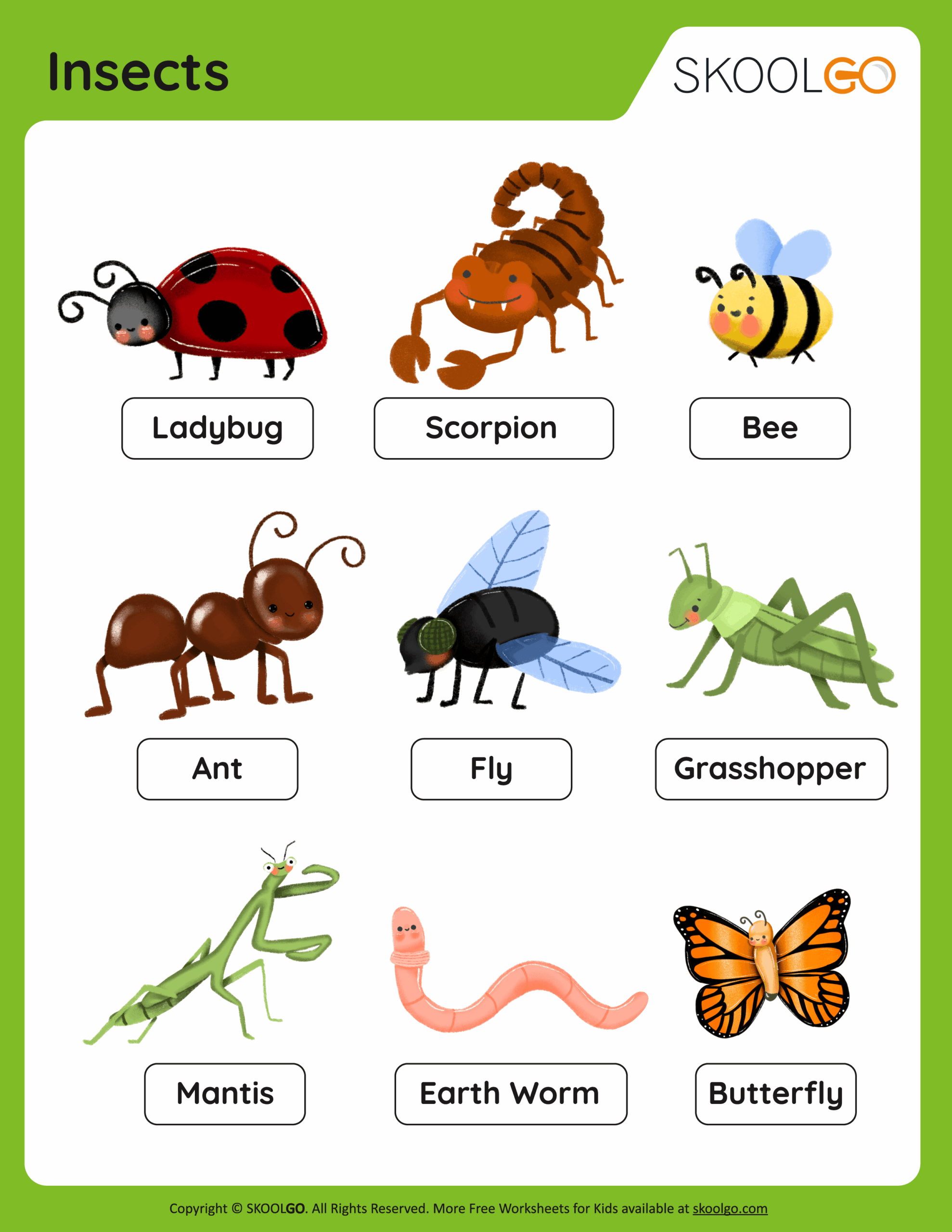 Insects Free Worksheet SKOOLGO Insects Free Worksheet SKOOLGO