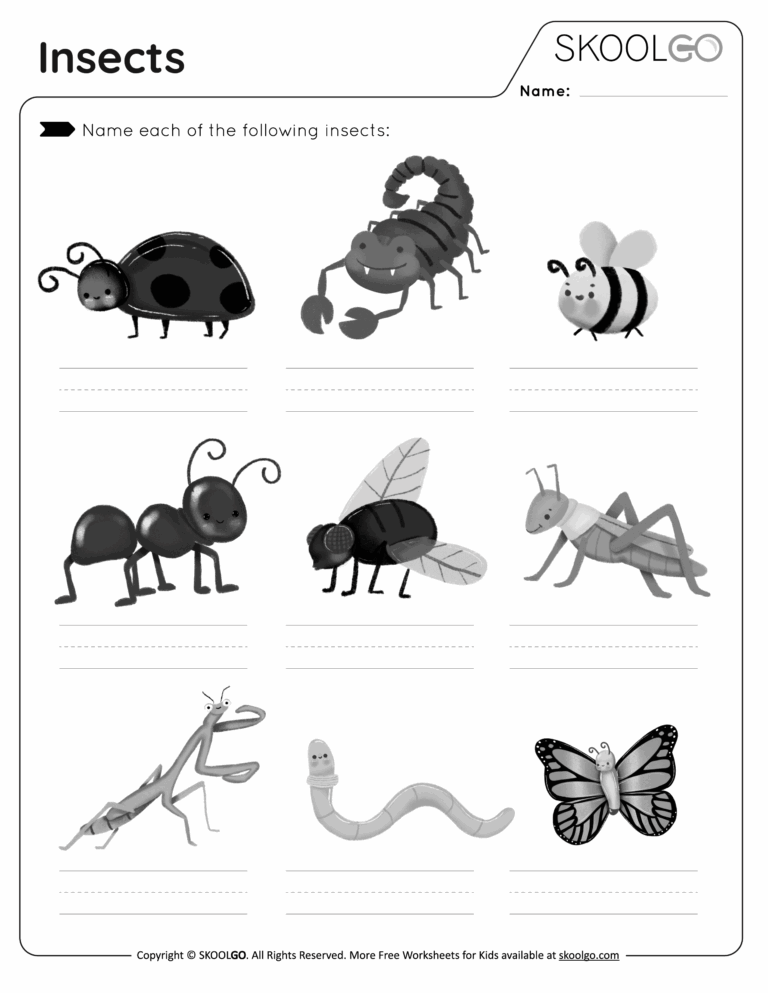 Insects Free Worksheet SKOOLGO Worksheets Library
