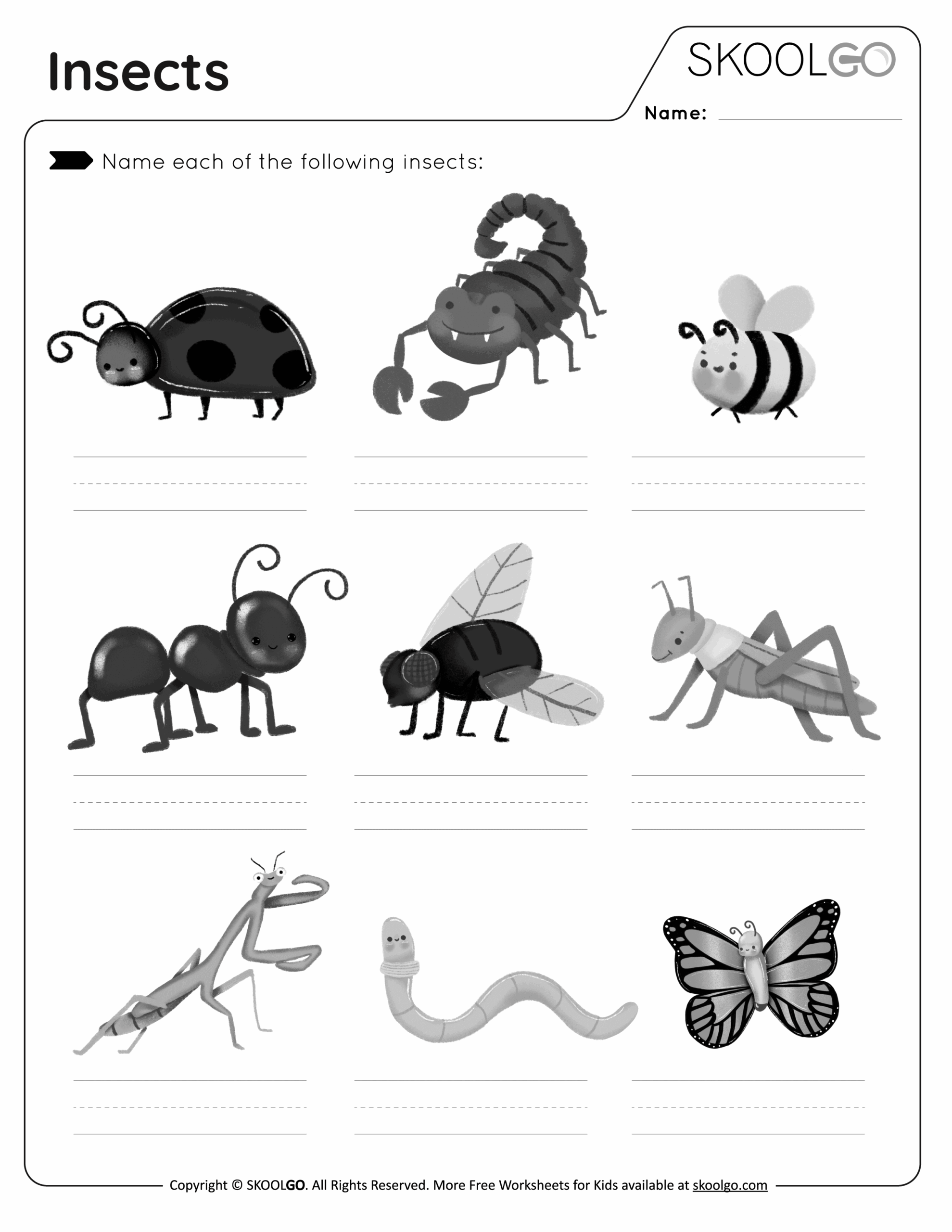 Insects Free Worksheet SKOOLGO Worksheets Library