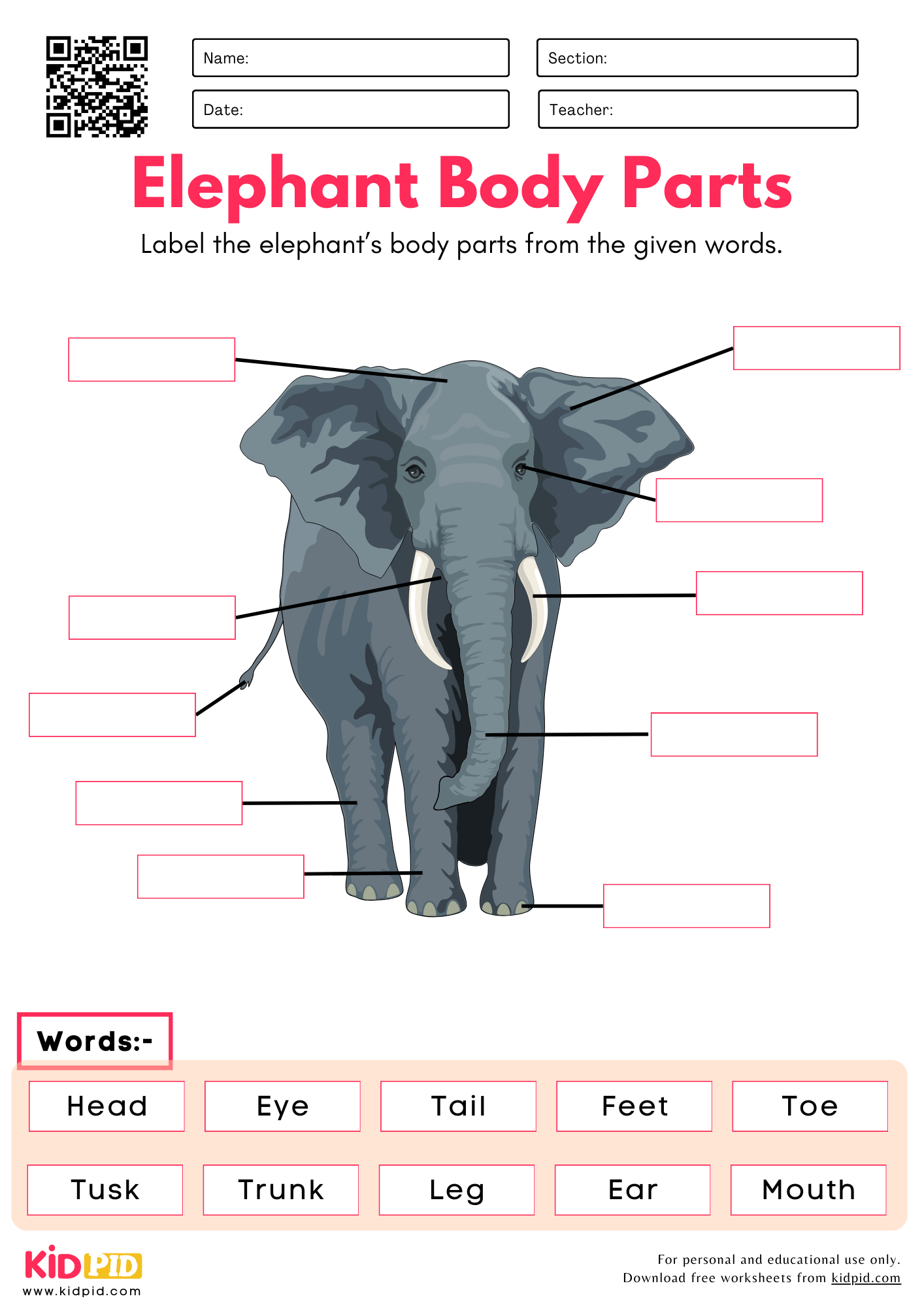 Label The Elephant Body Parts Worksheet Kidpid Label The Elephant Body Parts Worksheet Kidpid