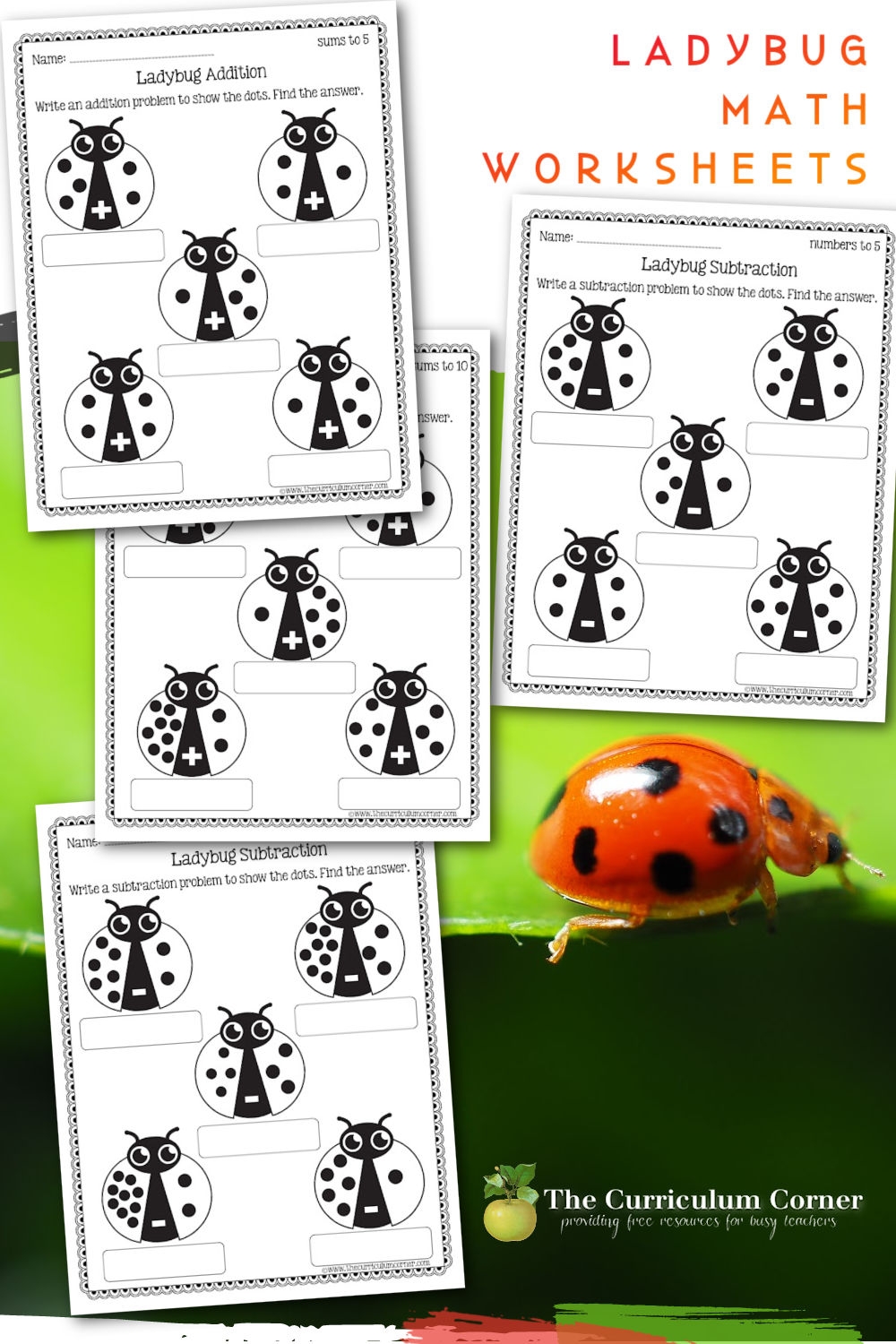 Ladybug Math Worksheets The Kinder Corner