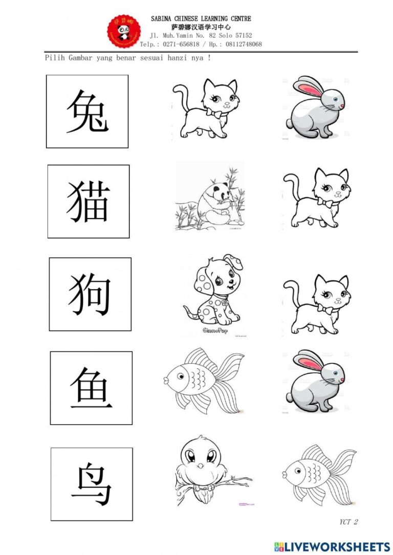 Mandarin Animal Kindergarten Worksheet Live Worksheets Worksheets Library