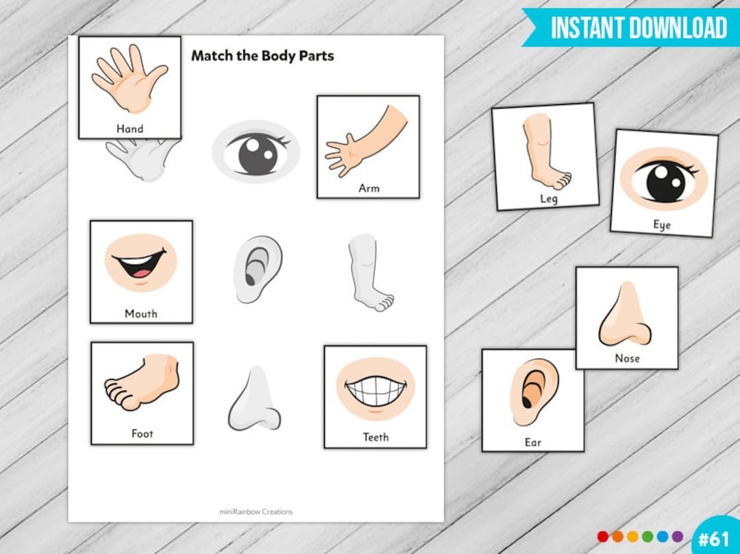 Printable Body Parts Worksheet For Kindergarten