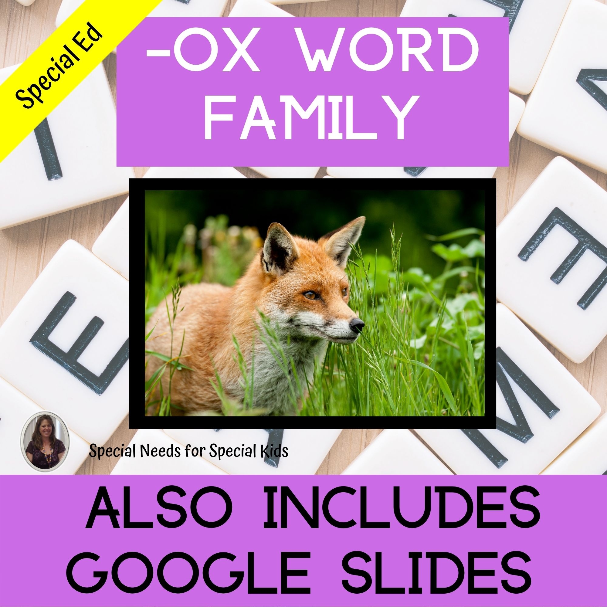 Ox Word Family Worksheets Kindergarten