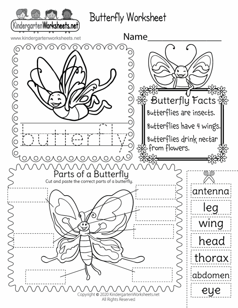 Parts Of A Butterfly Worksheet Free Printable Digital U0026 PDF