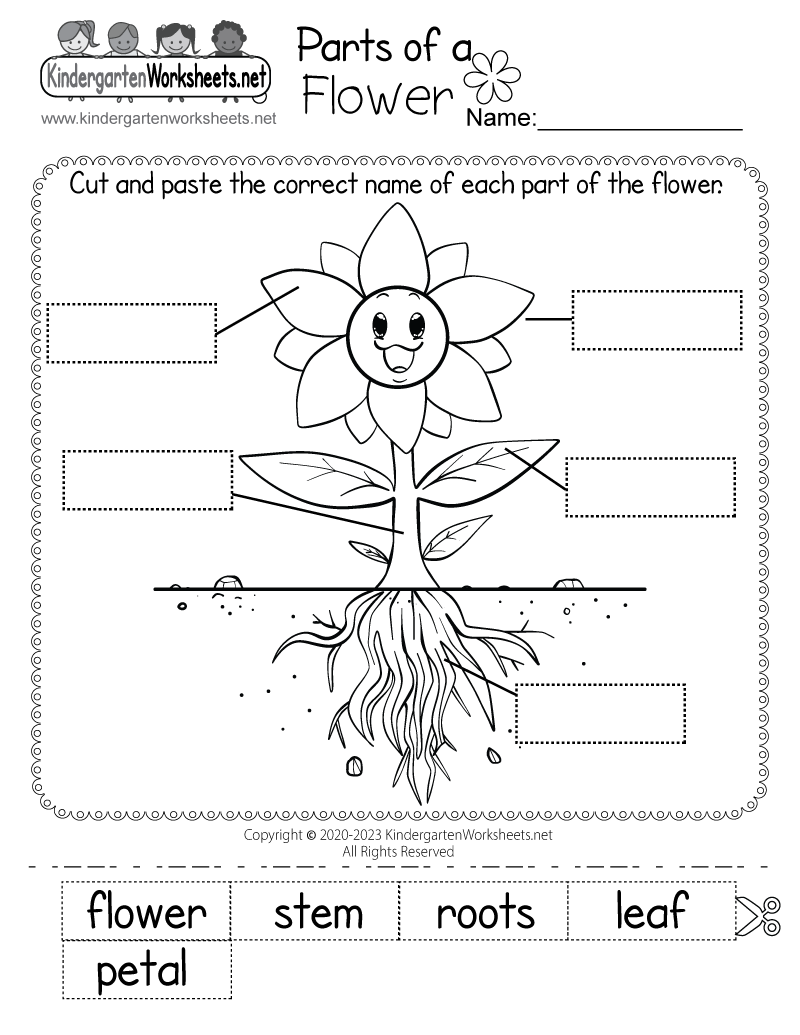Parts Of A Flower Worksheet Free Printable Digital U0026 PDF Parts Of A Flower Worksheet Free Printable Digital U0026 PDF