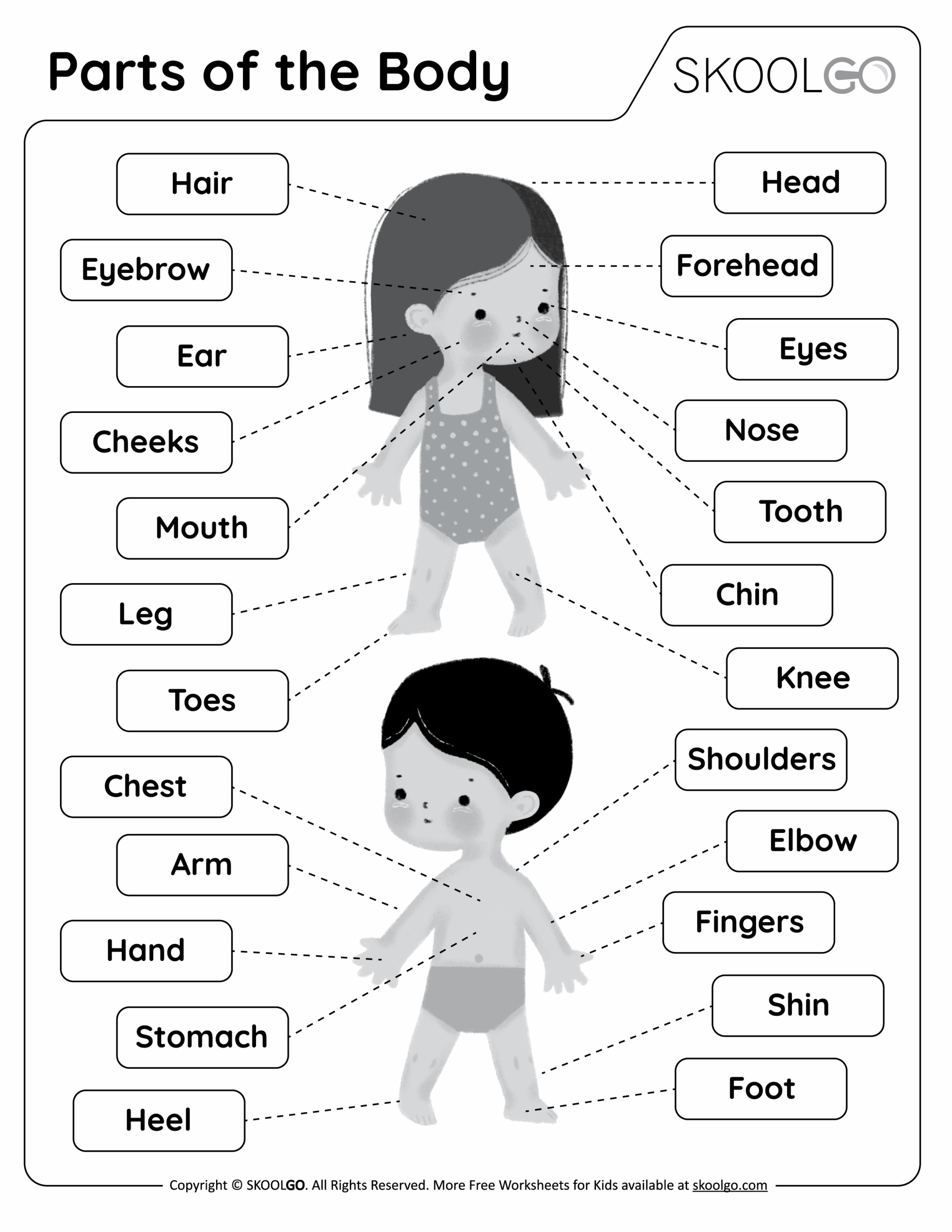 Parts Of The Body Free Worksheet SKOOLGO