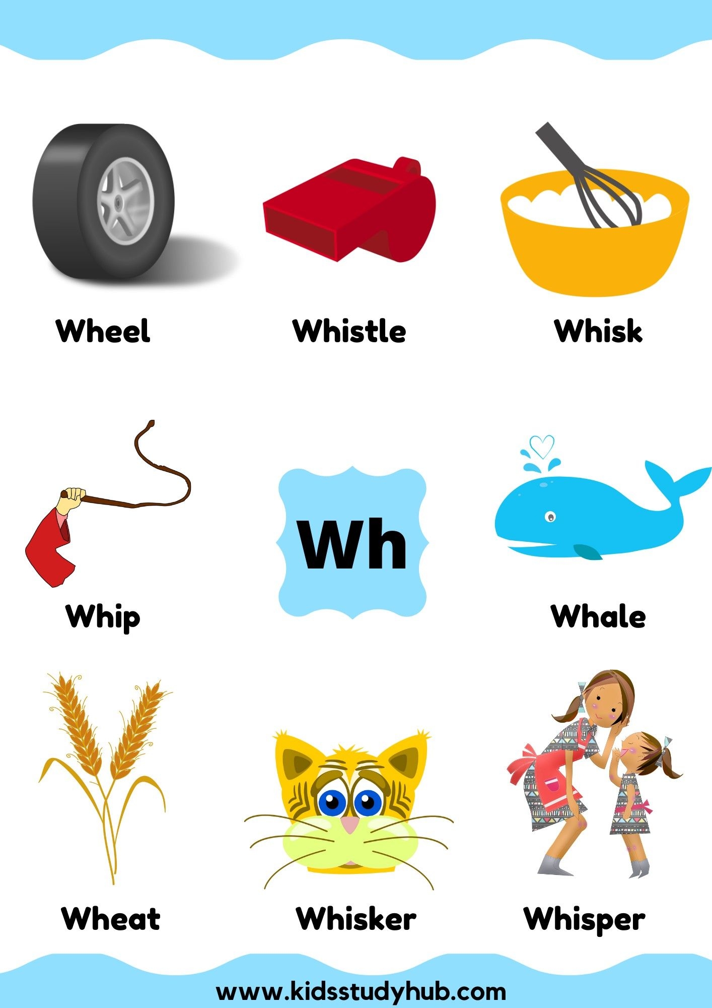 Wh Word Wh Worksheets For Kindergarten