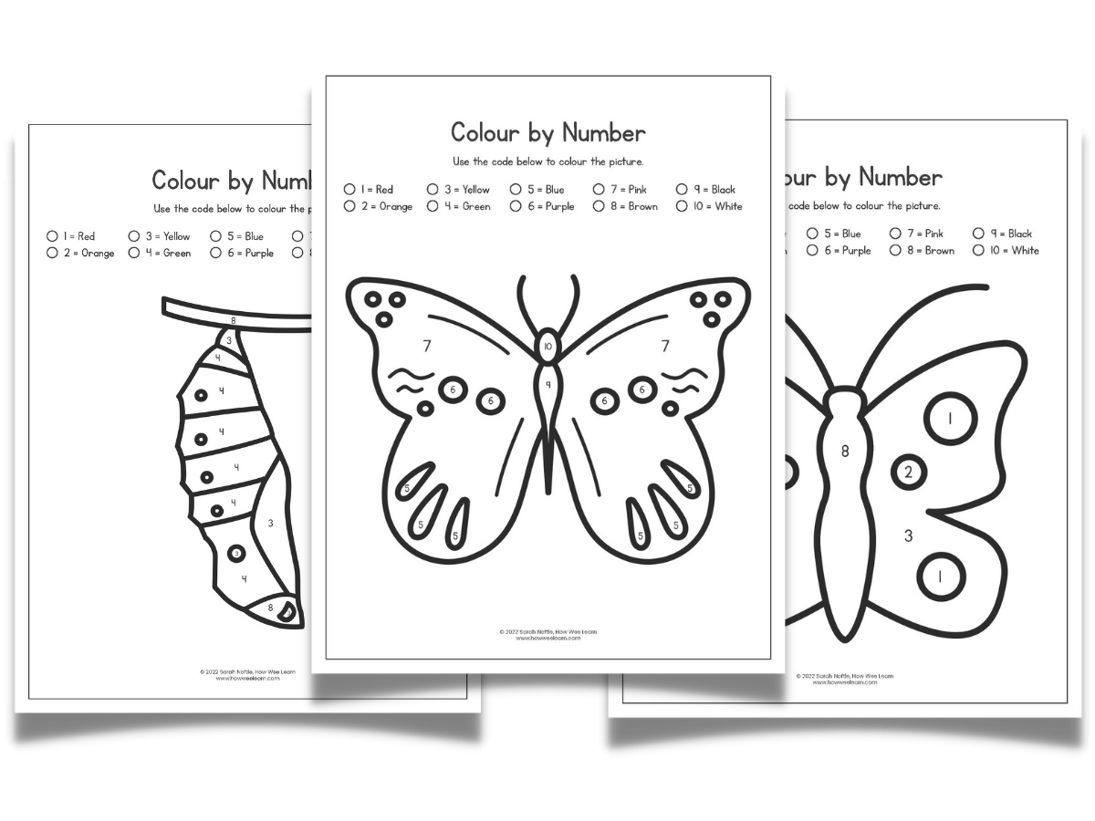 Free Butterfly Worksheets For Kindergarten