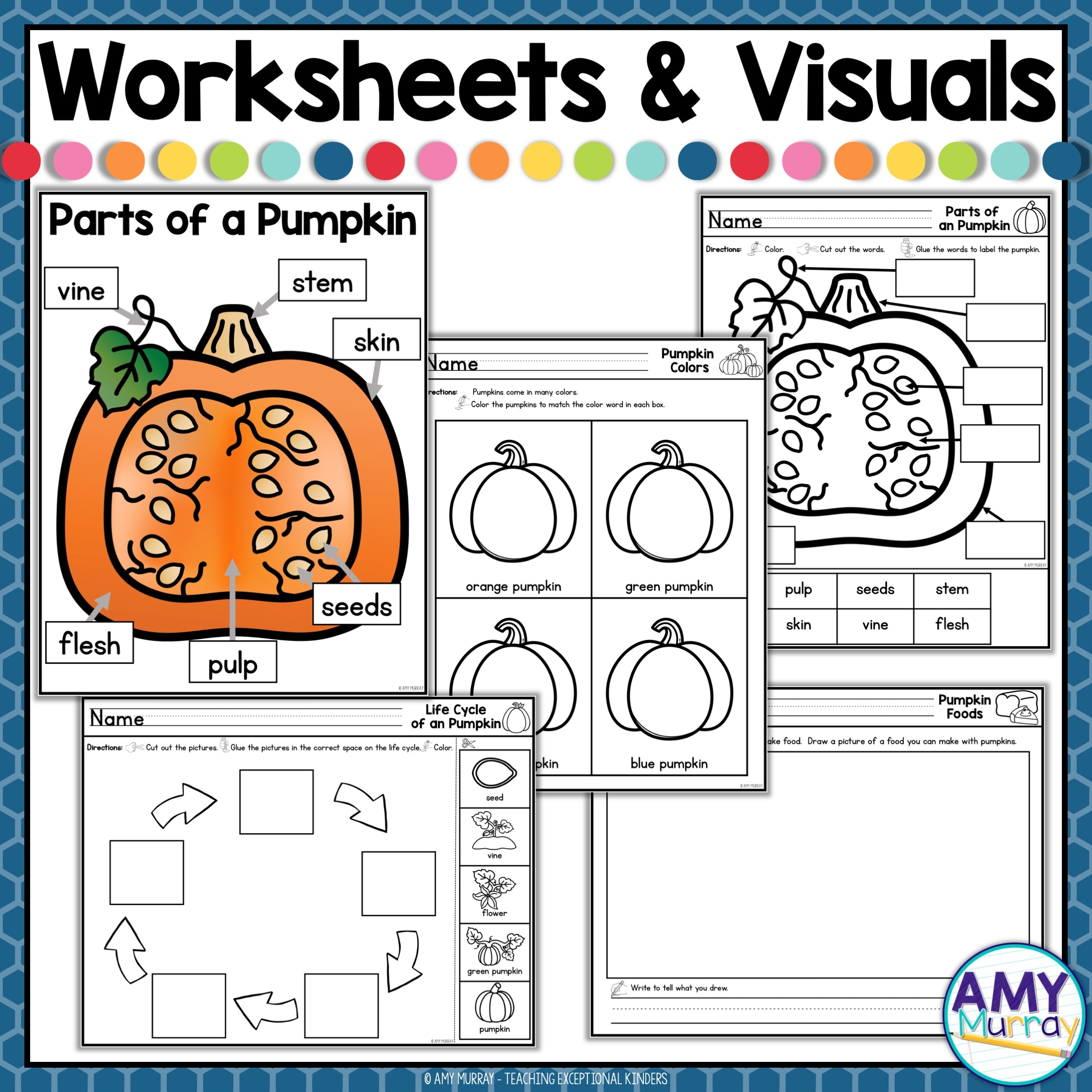 Pumpkin Life Cycle Worksheets And Seesaw Activity Kindergarten 